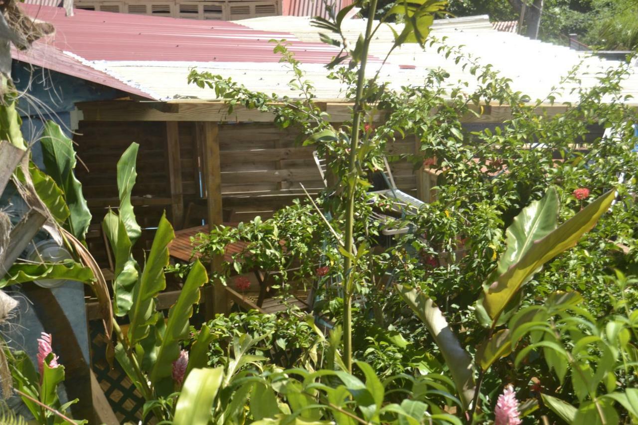 An Eol Caraibes Vila Trois-Rivières Exterior foto