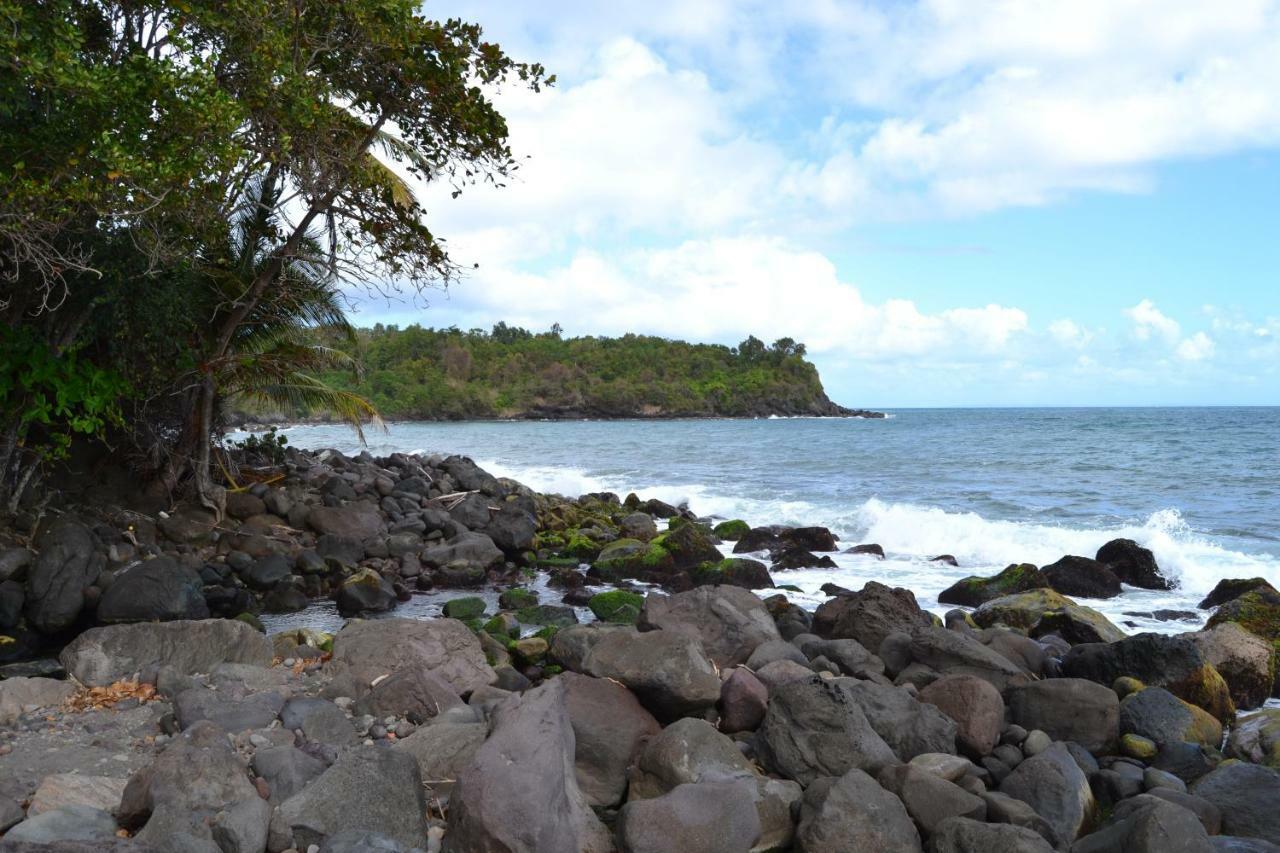 An Eol Caraibes Vila Trois-Rivières Exterior foto